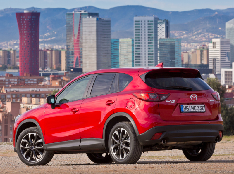 Корма примерила фонари с более симпатичным внутренним рисунком