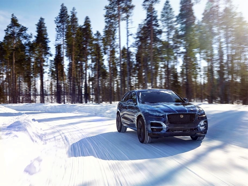 Jaguar F-Pace испытан в экстремальных условиях
