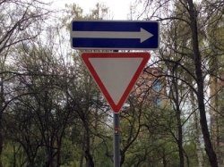 В ЦАО Москвы изменится организация движения на 448 улицах