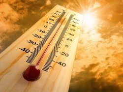ГИБДД просит водителей внимательнее относиться к своему здоровью в жару