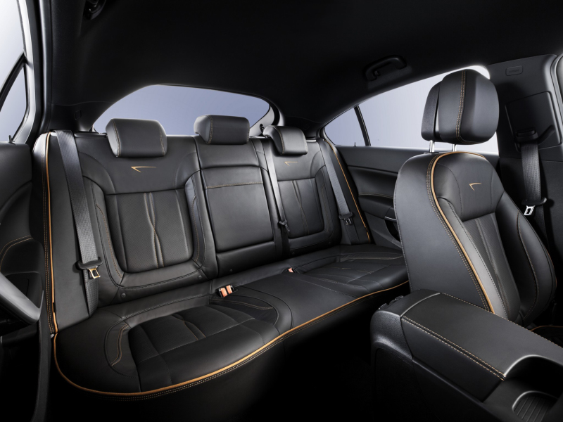 Полностью кожаный салон не привередлив. Не лопается, не пачкается