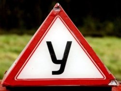 Автошколы ратуют за разделение любителей от профессионалов