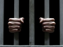 Общественная палата предлагает арестовывать на 15 суток водителей, превысивших скорость