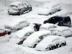 Москвичей просят отказаться от личного транспорта