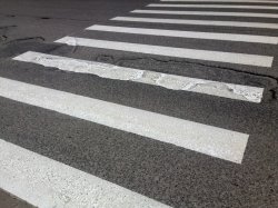 На Северо-Западной хорде в Москве будет построено 30 пешеходных переходов