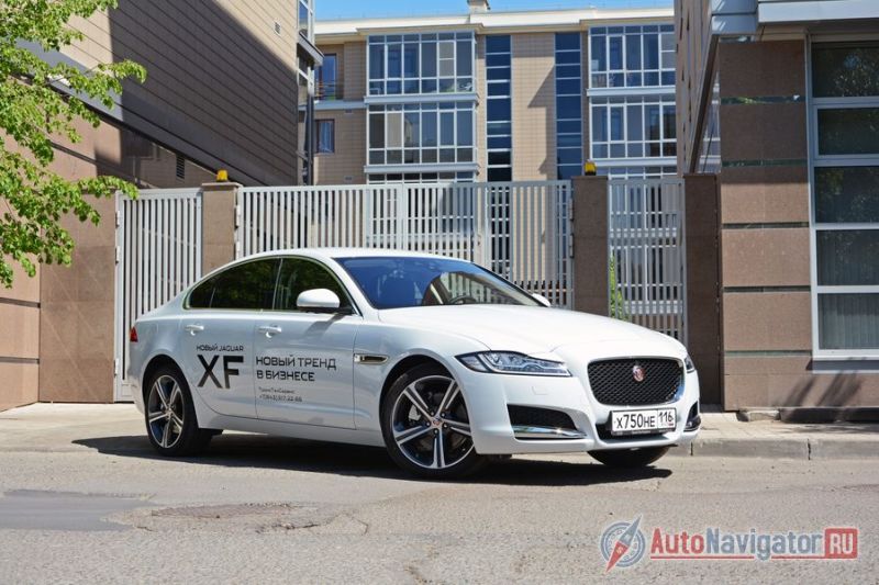 Конёк «Ягуара» - извилистая лента качественного асфальта