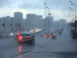 Москвичей просят быть внимательными на дорогах