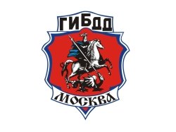 ГИБДД проведет акцию «Живая зебра» для детей в преддверии учебного года в Московском зоопарке