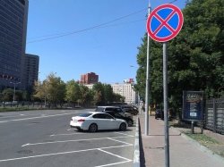 Опоры дорожных знаков в Москве оклеят светоотражающими полосками