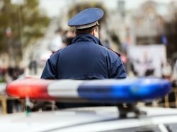 Сотрудники ГИБДД Москвы пресекли за год более 15 млн нарушений ПДД