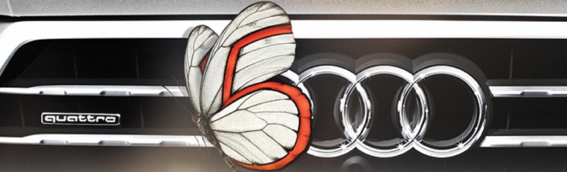 Летний бонус от Audi Service