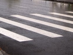 Дорожники Подмосковья обновят к осени 70% разметки на региональных трассах