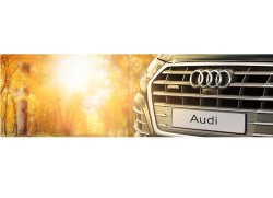 Бархатный сезон в Ауди Центре Север