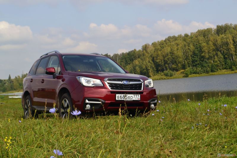 Subaru Forester 2.5 (171 л.с.) Elegance+: Вы захотите его зимой