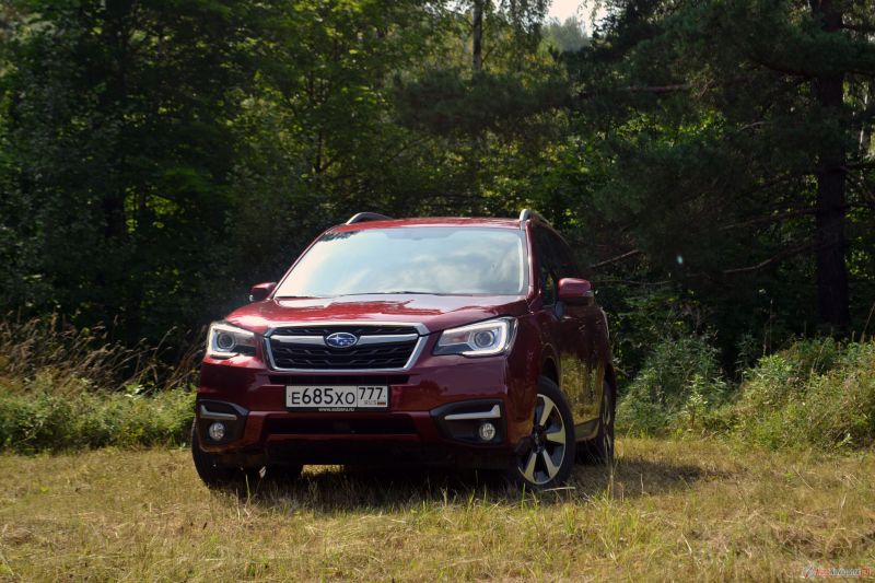 Имя Forester переводится на русский как «Лесник». Если руководствоваться названием и не штурмовать на нем жесткое бездорожье, то засадить Forester будет очень сложно. Он избыточен для европейского бездорожья, но идеально подходит для российского с колеями, снегом, грязными обочинами и проселками.