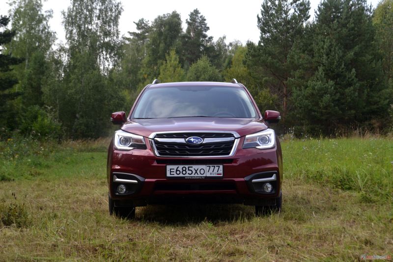 Прошлогодний рестайлинг пошел Форестеру на пользу. Выглядеть он стал свежее. Серебристые вставки над противотуманками на солнце светятся также ярко, как ходовые огни. 

В дорогих комплектациях ближний и дальний свет будет светодиодным. Он потрясающе яркий, ехать ночью с такими фарами одно удовольствие. В базовых комплектациях фары галогеновые. Ксенона нет.