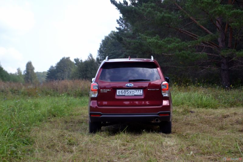 Сзади Forester почти не изменился. Характерной чертой стали С-образные световоды габаритных огней.