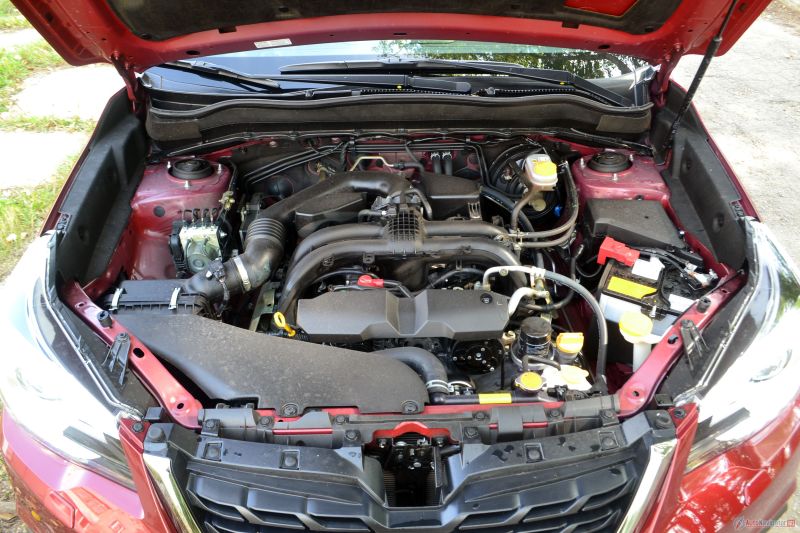 У Forester может быть три мотора: 2,0-литровый, 2,5-литровый, как тут, и 2,0-литровый турбированный. Первый выдает 150 л.с., тот, что тут, 171 л.с., а турбированный -141 л.с.
Турбированный хорош для тех, кто любит популять, базовый подойдет для города, а тот, который тестировал я, хорошо подходит для всего. В городе можно пошустрить, а загородом мощности как раз столько, чтобы комфортно ехать в потоке, обгонять, но в то же время не следить постоянно за спидометром, боясь сильно превысить.
Под капотом довольно просторно, почти везде можно пролезть рукой.