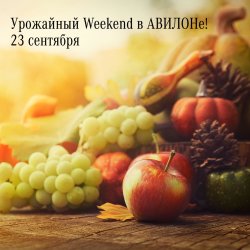 Приглашаем на урожайный weekend в АВИЛОН!