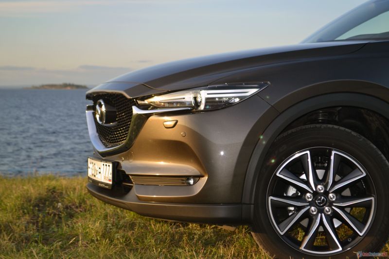 Бампер, решетка радиатора или даже номер не выпирают за пределы капота. Габариты чувствуешь прекрасно. А ещё внешне создается такое впечатление, что капот нависает и опирается только на фары