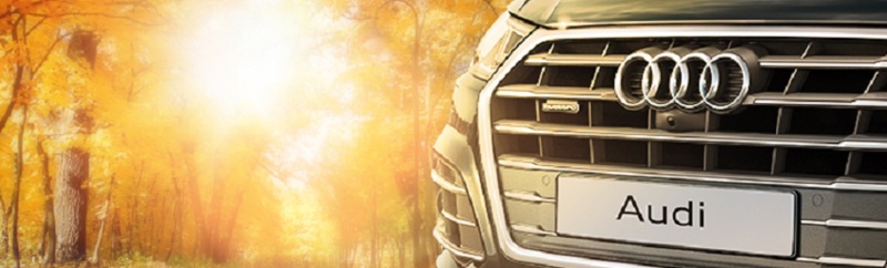 Бархатный сезон в Ауди Центре Север