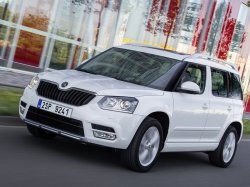 В РФ действуют специальные зимние предложения Skoda
