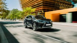 Жара не за горами. Подготовьтесь к ней вместе с Лексус – Волгоградский