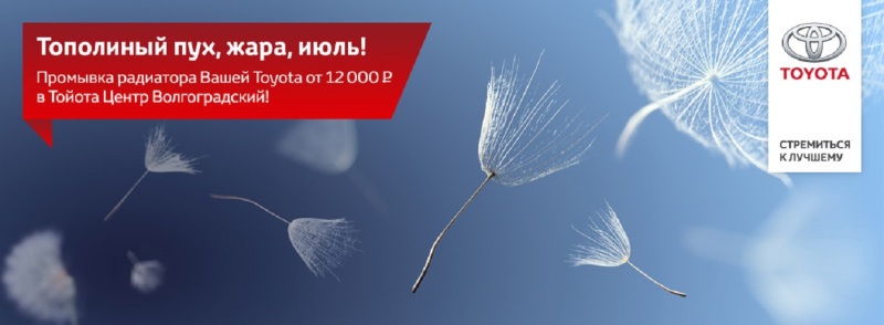 Тополиный пух, жара, июль в Тойота Центр Волгоградский!