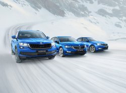Исполнение Hockey Edition получили модели Skoda Kodiaq, Octavia и Rapid