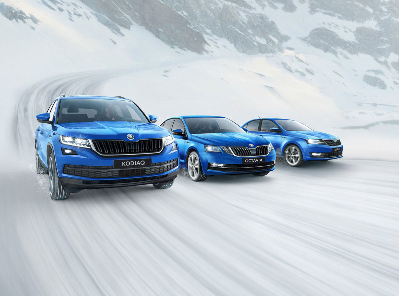 Исполнение Hockey Edition получили модели Skoda Kodiaq, Octavia и Rapid