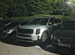 Большой кроссовер KIA Telluride не торопятся поставлять в Россию