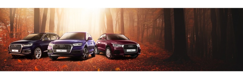 Дни специальных осенних цен в Ауди Центре Север