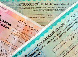 Представлен способ избежать покупки автостраховки онлайн у мошенников