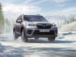 Новый Subaru Forester появился у российских дилеров