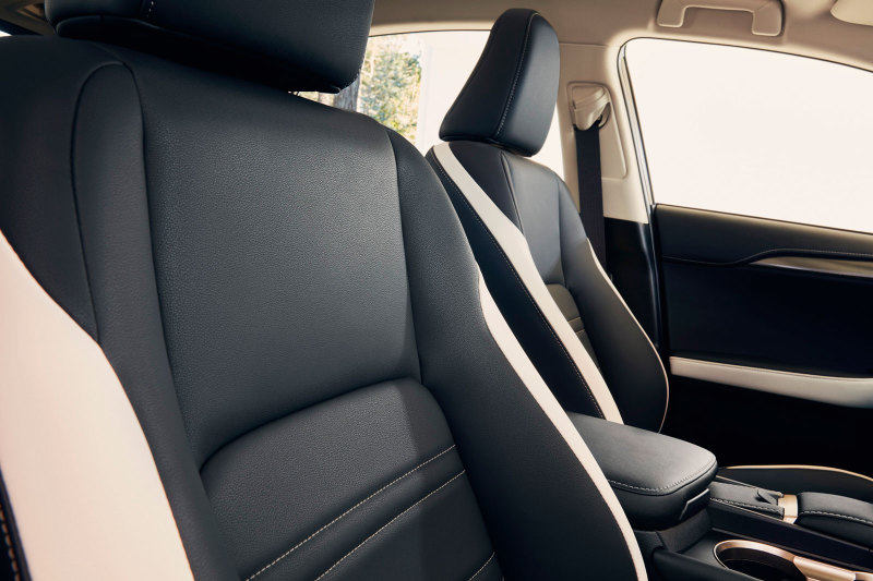 Lexus NX 200 Black Vision