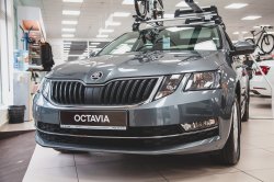 SKODA OCTAVIA — не просто автомобиль, это член семьи!