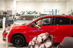 Новогоднее настроение в ?KODA Кунцево