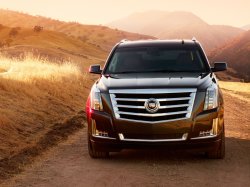 Автомобили Cadillac и Toyota больше всего угоняют в России