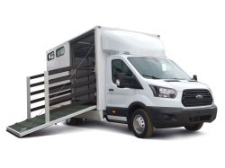 Ford Transit российской сборки стал коневозкой