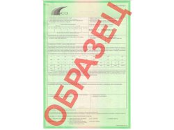 "Зелёные карты" автостраховки стали чёрно-белыми