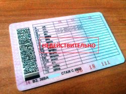 Истекшие водительские права будут действительны до конца года