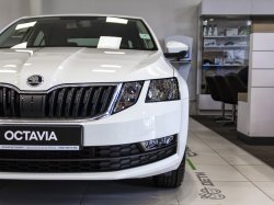 Всего одиннадцать автомобилей ?KODA OCTAVIA третьего поколения!