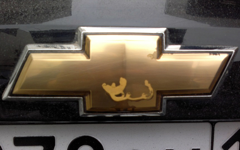 Типичный внешний вид шильдика Chevrolet после нескольких лет эксплуатации автомобиля