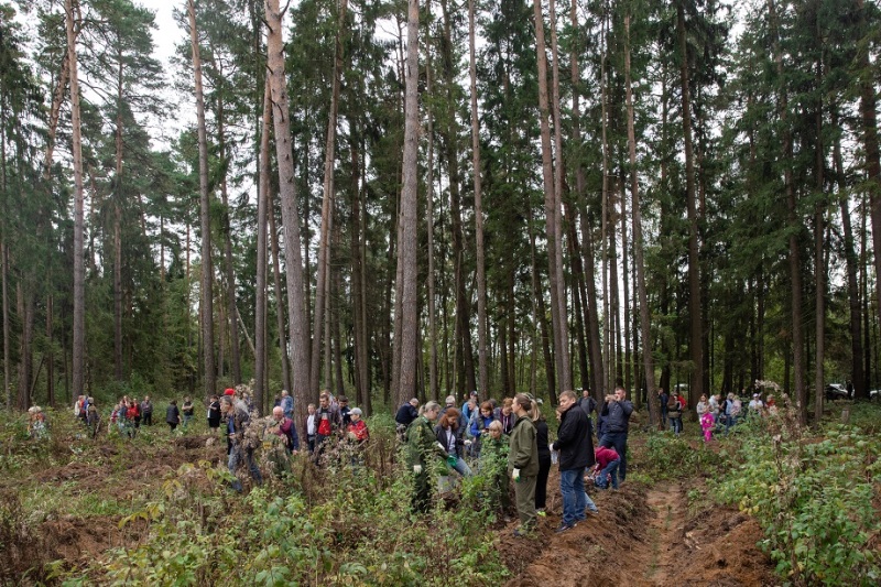 Экологическая акция Land Rover Авилон в рамках проекта «Эстафета Добра»