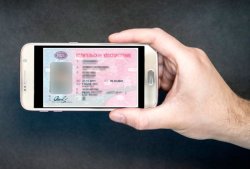 Электронные водительские права хотят ввести в России