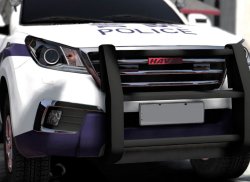 Российская полиция может пересесть на китайские автомобили