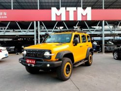 Внедорожник Tank 300 уже можно купить в России