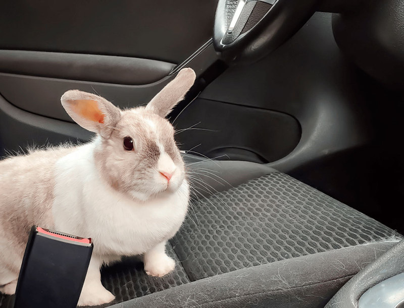 С Новым 2023 годом!