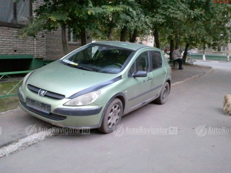Peugeot 307 2001